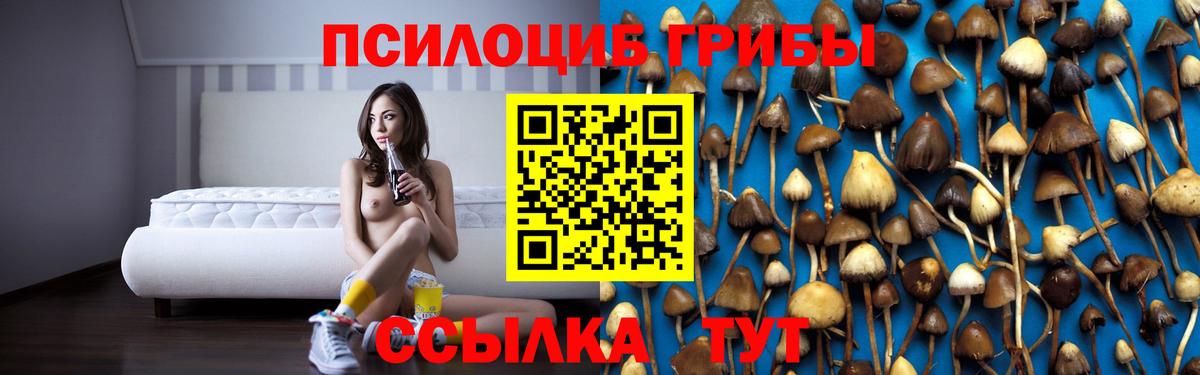 Галлюциногенные грибы MAGIC MUSHROOMS Владикавказ