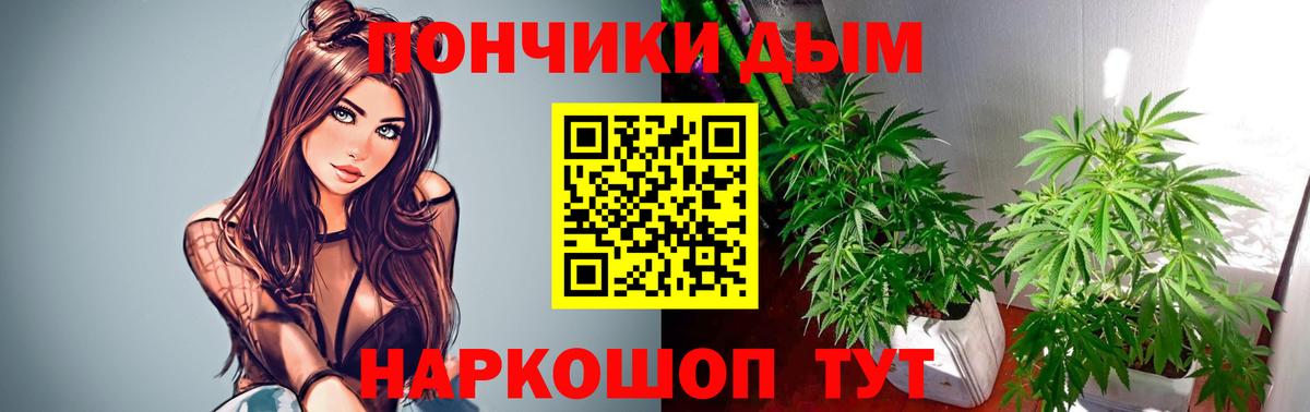 Бошки марихуана индика  Вход с VPN  Конопля индика  МАРИХУАНА AK-47  Владикавказ 